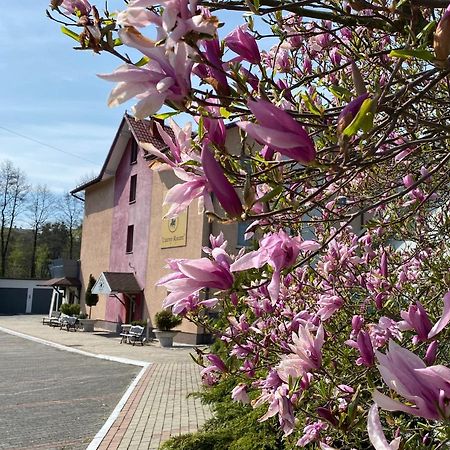 Obiekt "Czarny Rycerz" Aparthotel Jastrzębie Zdrój Exteriör bild
