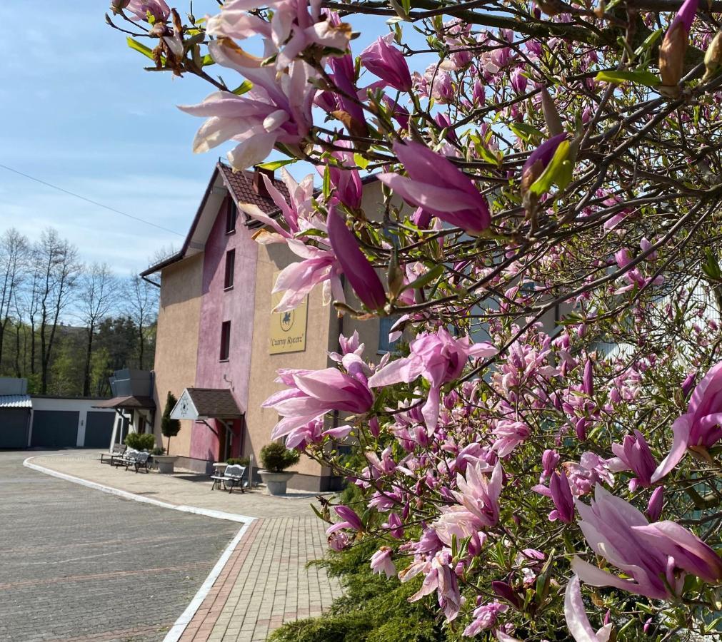 Obiekt "Czarny Rycerz" Aparthotel Jastrzębie Zdrój Exteriör bild
